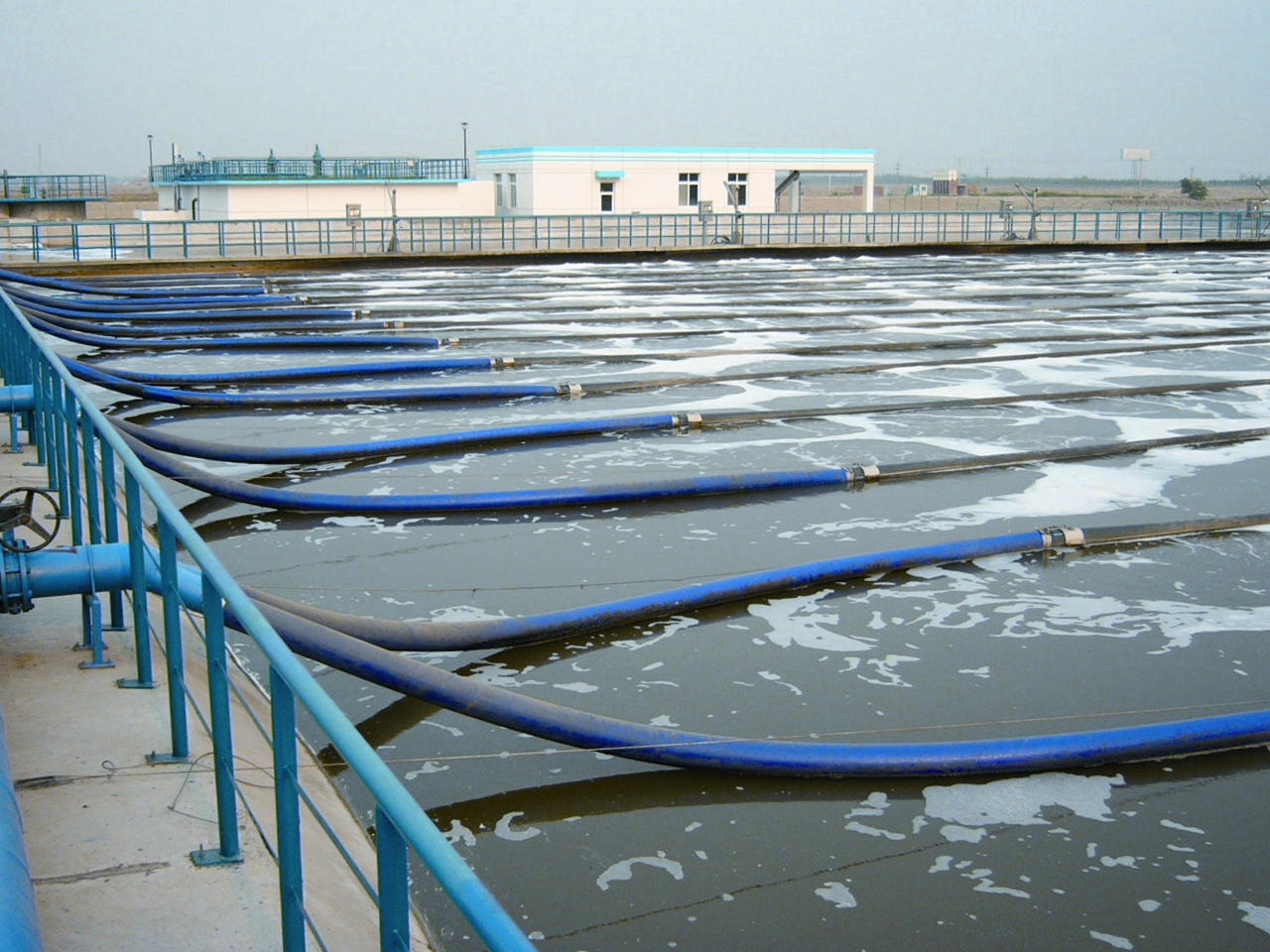 人生就是博-尊龙凯时中国官网